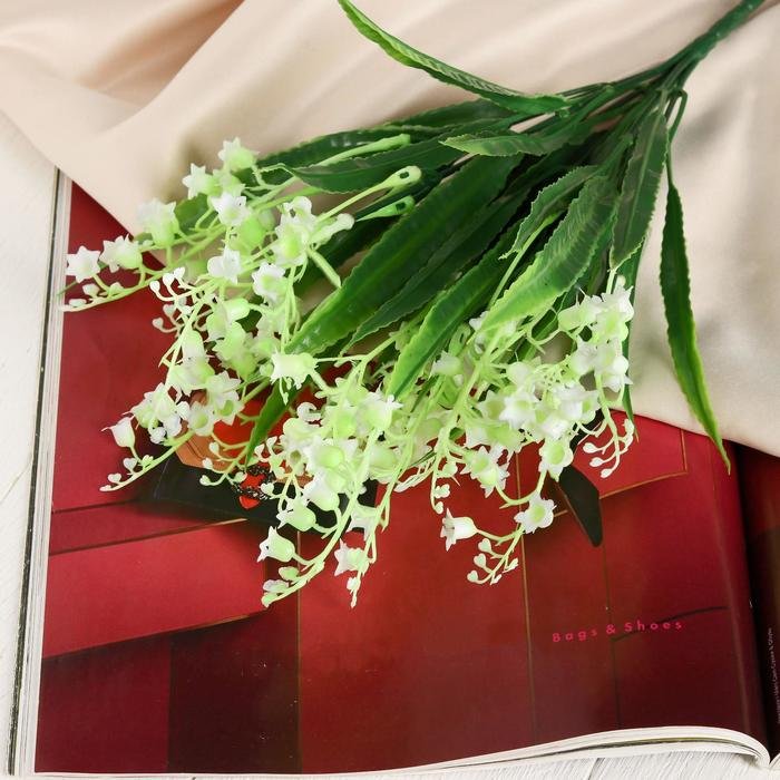 Изображение загружено