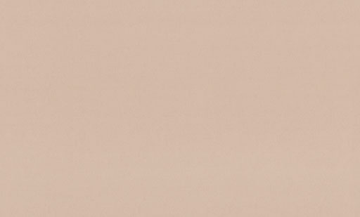 9299-12-раппорт