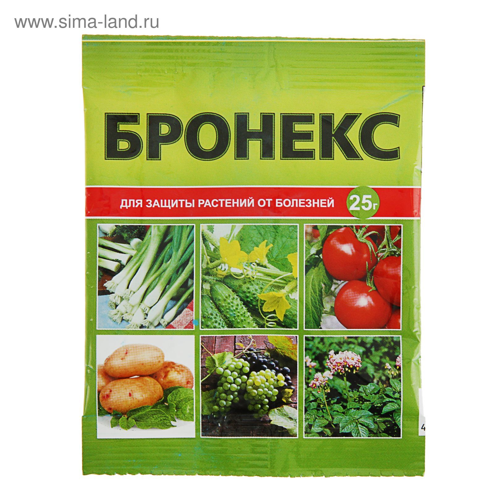 Изображение загружено