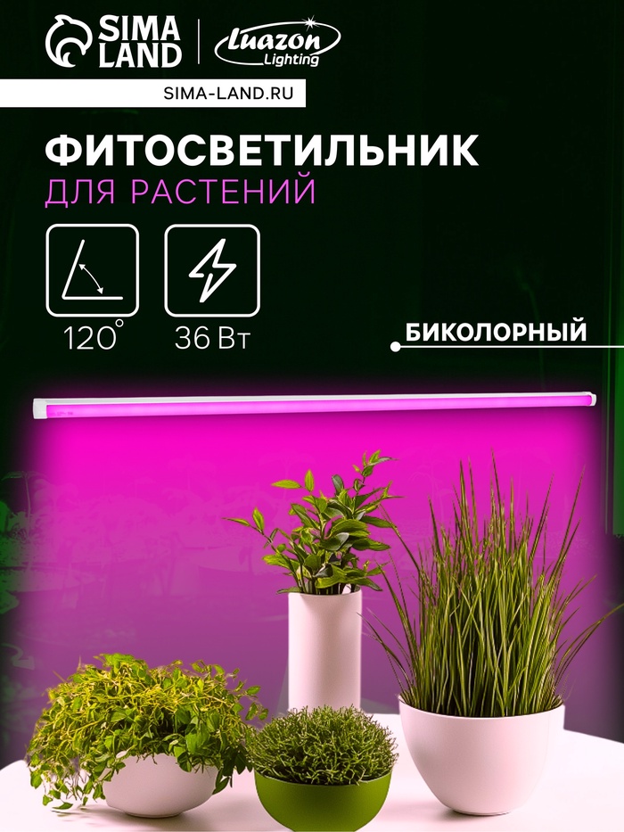 700 - 2026-01-03T100344.822