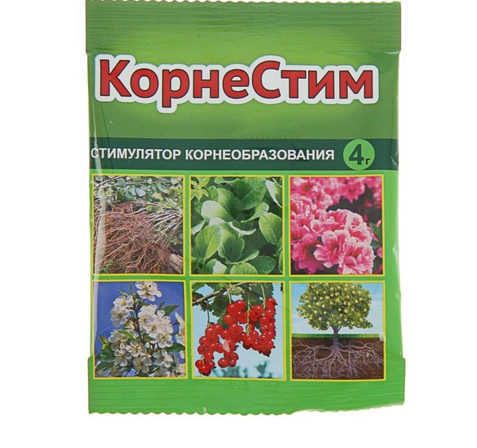 Изображение загружено