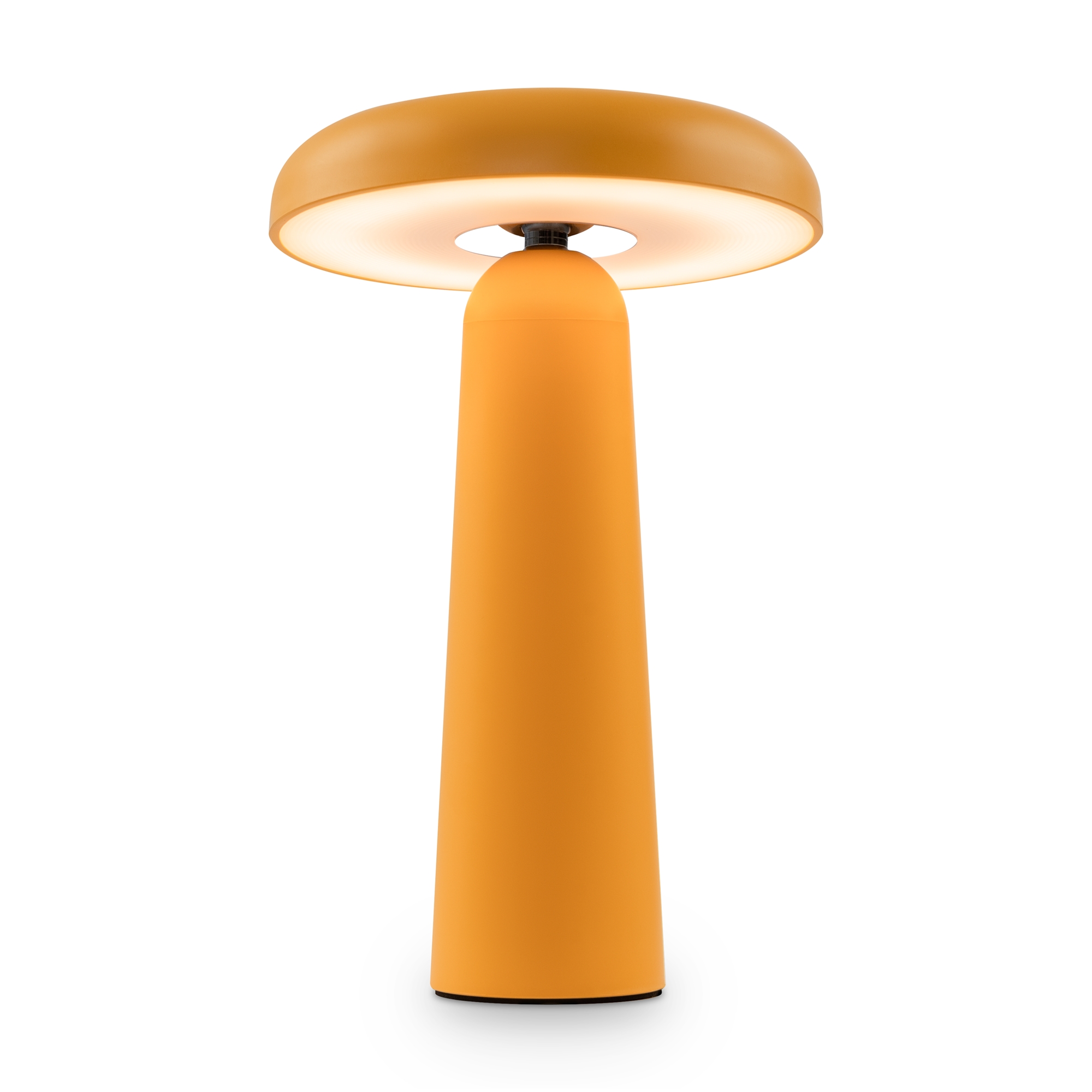 RENDER_FR6109TL-L4OR_on_w_standard