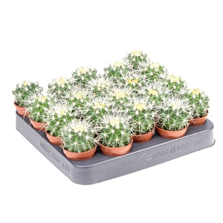 B008147_0000158982_H_1