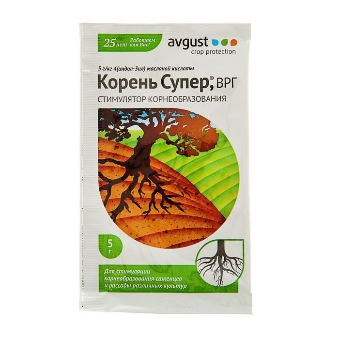 Изображение загружено