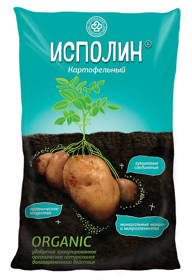 Изображение загружено