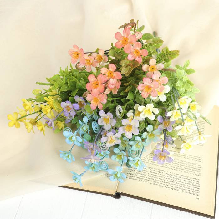 Изображение загружено