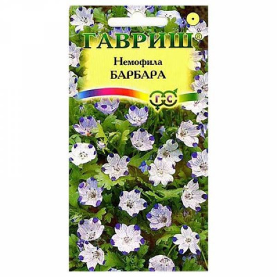 Изображение загружено