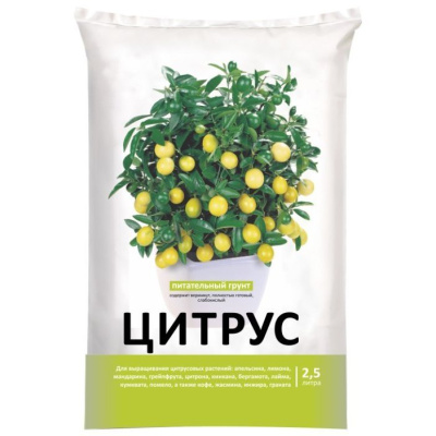 Изображение загружено