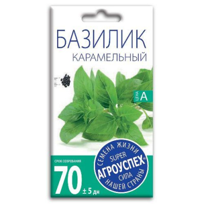 Изображение загружено