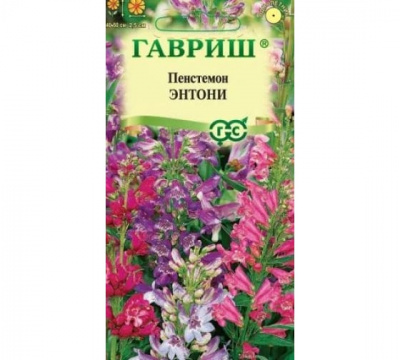 Изображение загружено