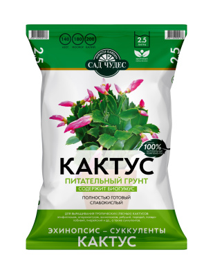 СЧ Кактус 2,5л_Д2