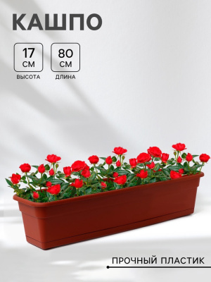 700 - 2026-02-25T140059.983