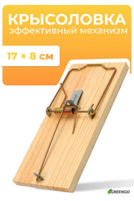 700 - 2026-02-05T112906.473