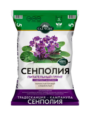 СЧ Сенполия 5л_Д2