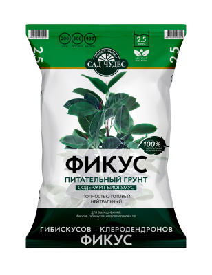 СЧ Фикус 2,5л_Д03