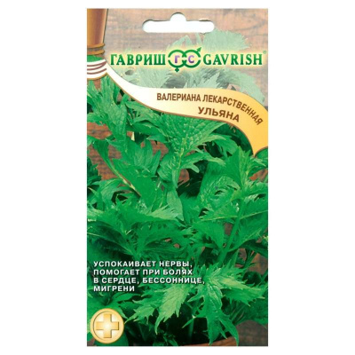 Изображение загружено