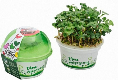 Изображение загружено