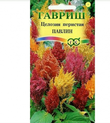 Изображение загружено