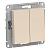 ATN000251 AtlasDesign бежевый Выключатель СП 2кл. сх.5 10АХ механизм SchE