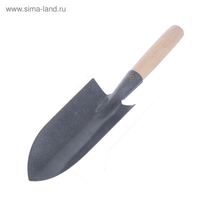 Изображение загружено