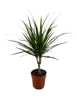 ed8da08e-2b56-4c3c-aab0-d6e6f43b6347