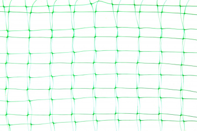 Изображение загружено