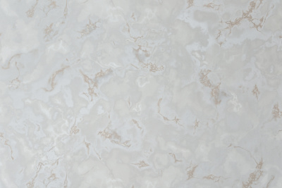 11310-03 Айрин (1)