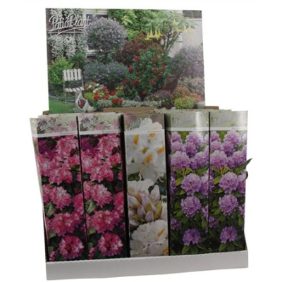 B026990_0000197520_H_1