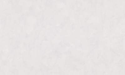 7327-11-раппорт