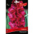 gladiolus-krupnocvetkovoj-rossijskaya-selekciya-vozrozhdenie