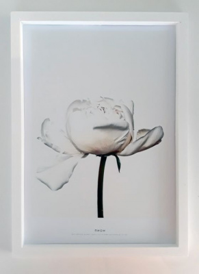 ПР-011 Постер в раме Соло, размер 210х300