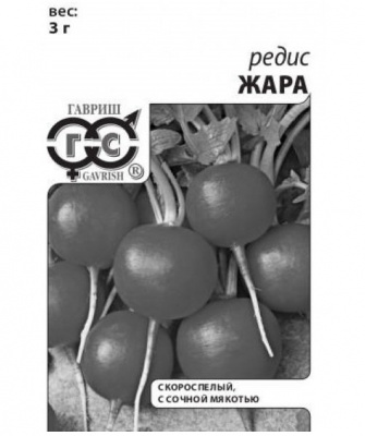 Изображение загружено