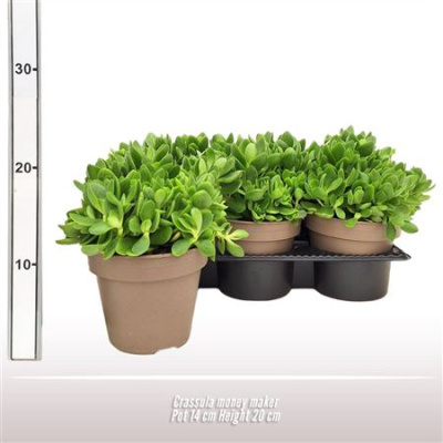 B009546_0000320057_H_1