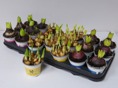 fd604be3-6f4d-44a6-a31b-cce02ed2773c