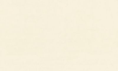 8091-01-раппорт