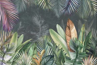 субтропики