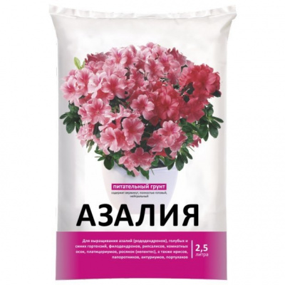 Изображение загружено