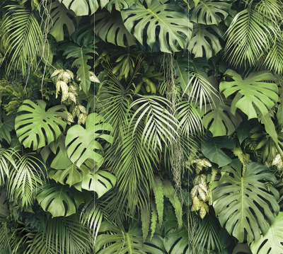 фитостена2.0