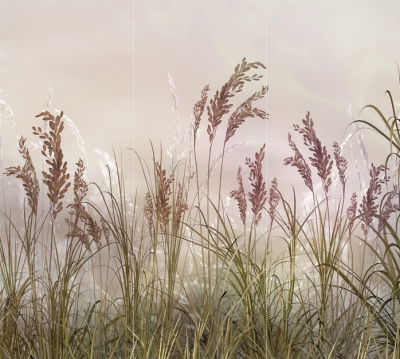 полевые растения