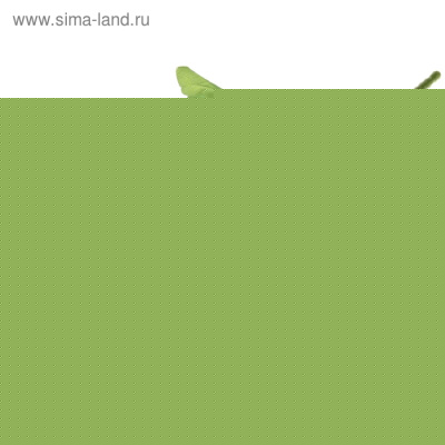 Изображение загружено