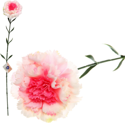 o69bf8509-059b-11f1-8f01-74563c0e8674 (1)