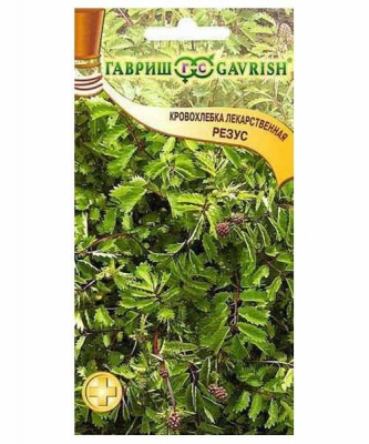 Изображение загружено