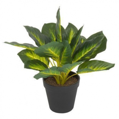 Изображение загружено