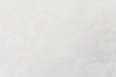 11421-05 Паулина-уни (5)