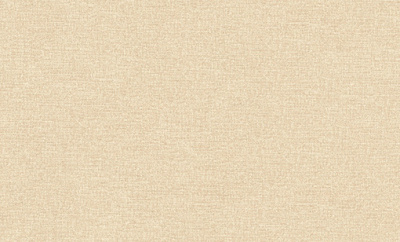 7337-08-раппорт