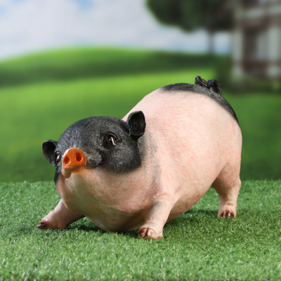 Изображение загружено