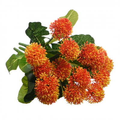 Изображение загружено