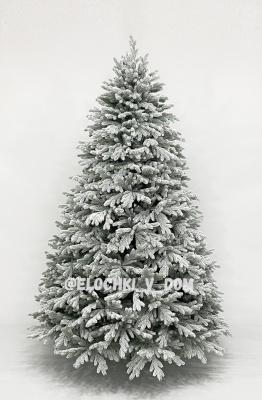 Изображение загружено