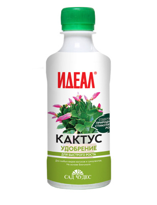 idealkaktus025