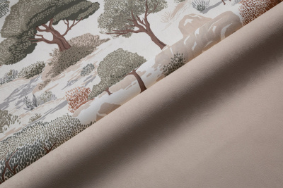 Img_HC72580-17 HC72581-22 (2)